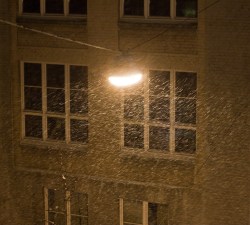 2009__mg_6544 2009__mg_6544