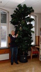 40d__mg_6589_dxo_web