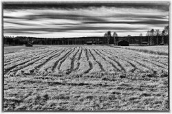 20111029-img_8844-edit