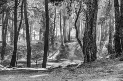 20111204-img_9631-edit