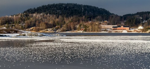 Vi besøker Son Spa hotell