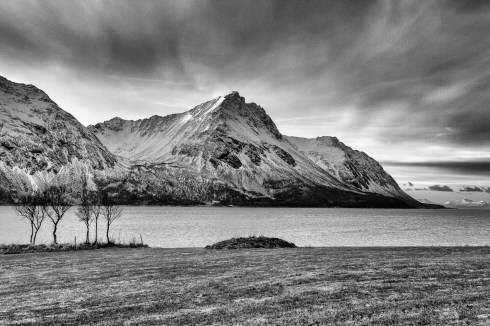 Fra en tur ut til Bjarkøy.