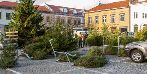 Juletrærne ligger overende