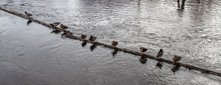 Jeg gikk en tur borte i vaet i Tistedal