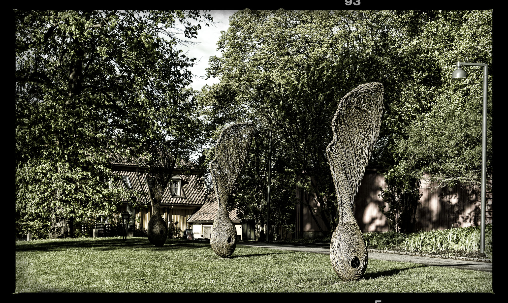 20140514-IMG_0309-Edit copy