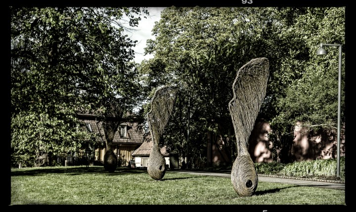 20140514-IMG_0309-Edit copy