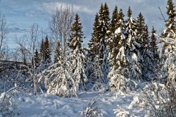 20141230-DSC04830_DxO