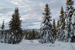 20141230-DSC04835_DxO