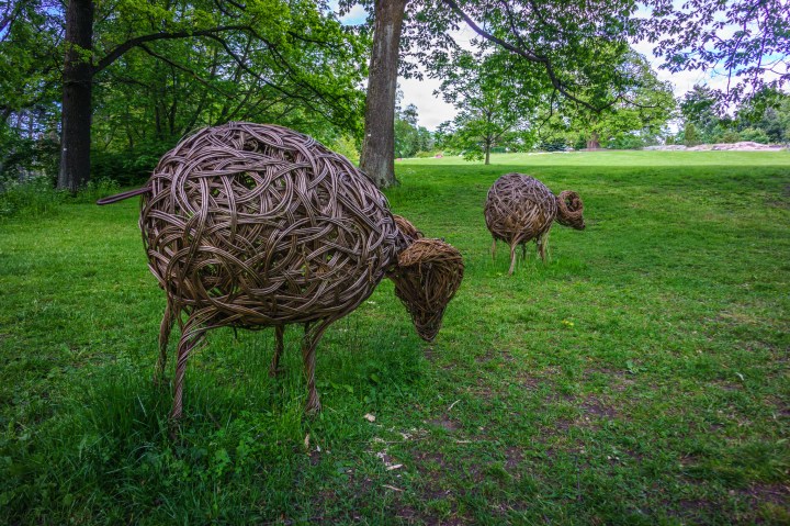 Kveldstur i Botanisk Hage søndag 14. juni 2015