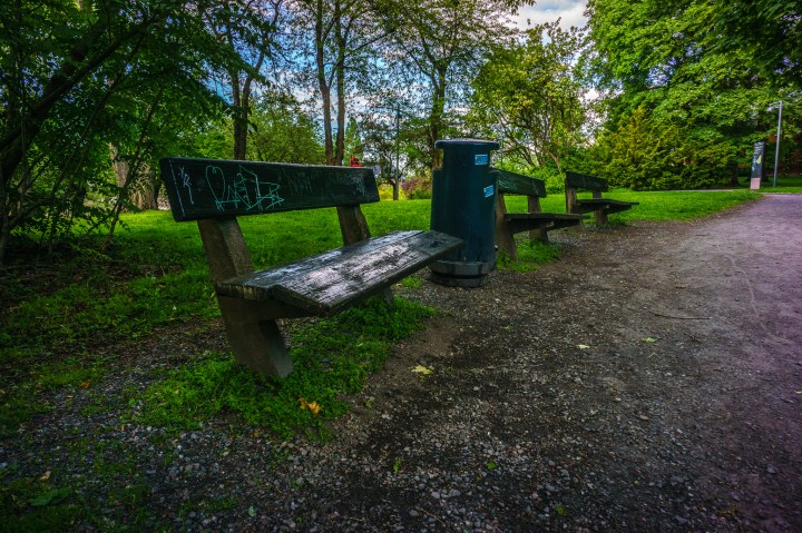 Kveldstur i Botanisk Hage søndag 14. juni 2015