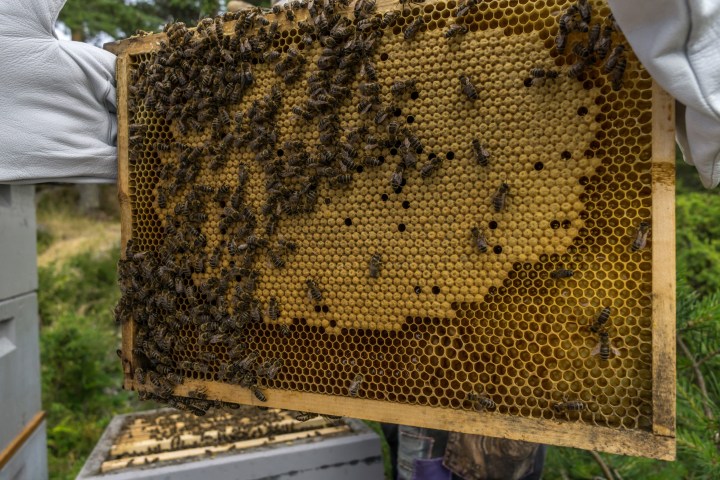 Søndagsbesøk hos Karyn og Jørgen