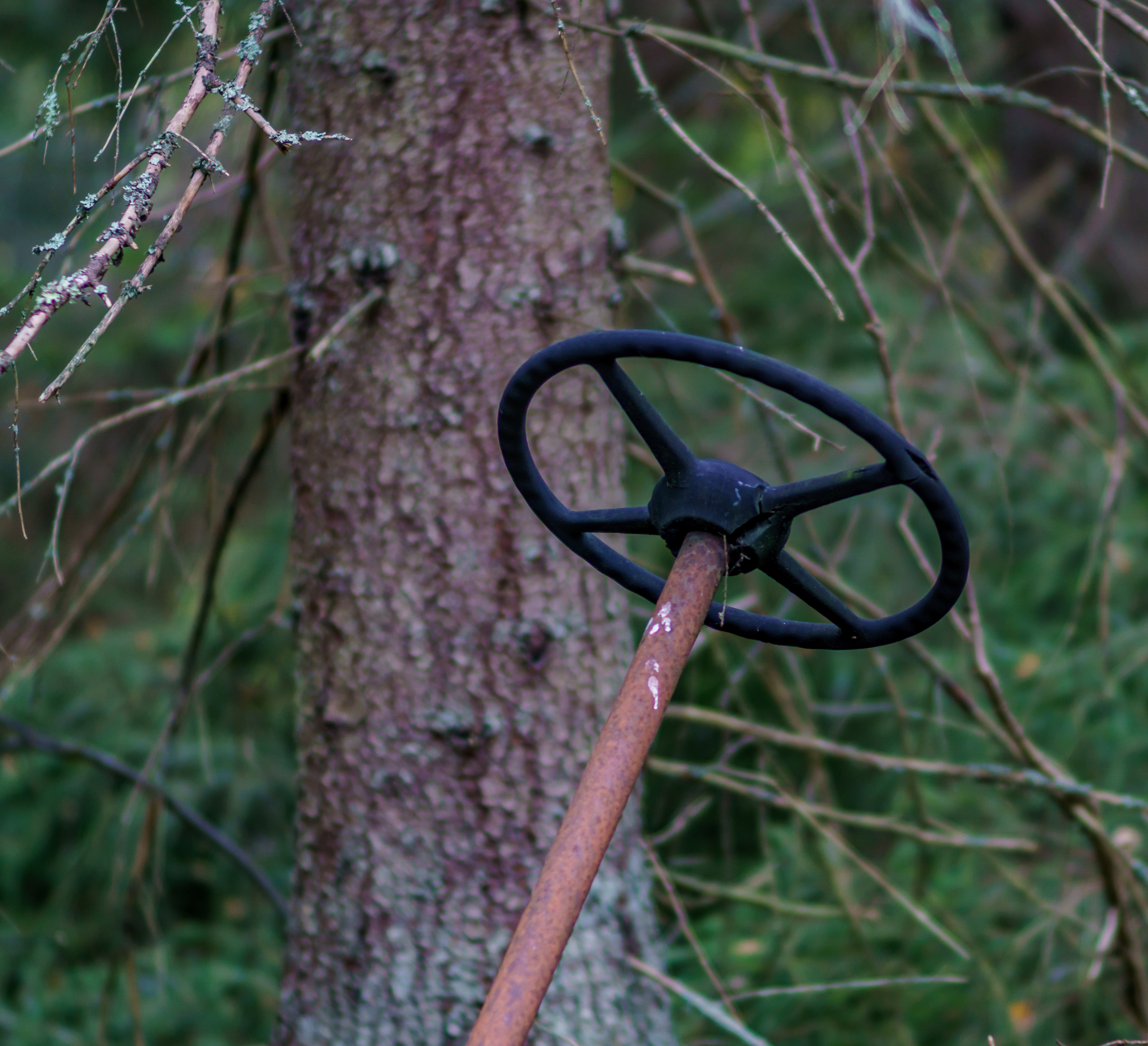 På tur til bilskroten i Båstnäs