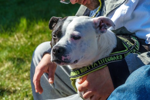 Søndagsmiddag på Langholmen med familien