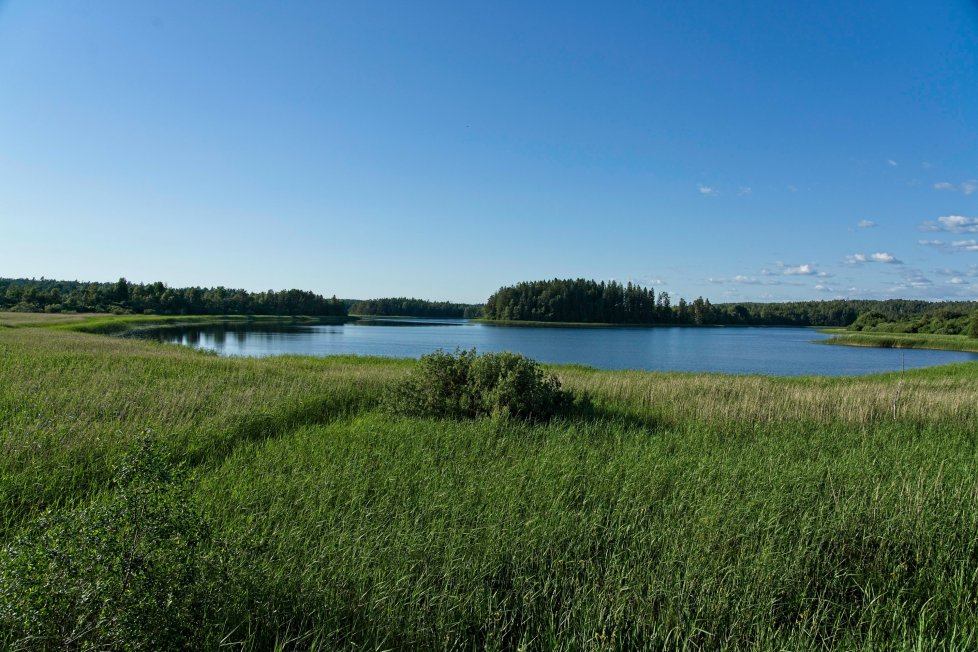 Kulturvandring i Rokke – Pensjonisten